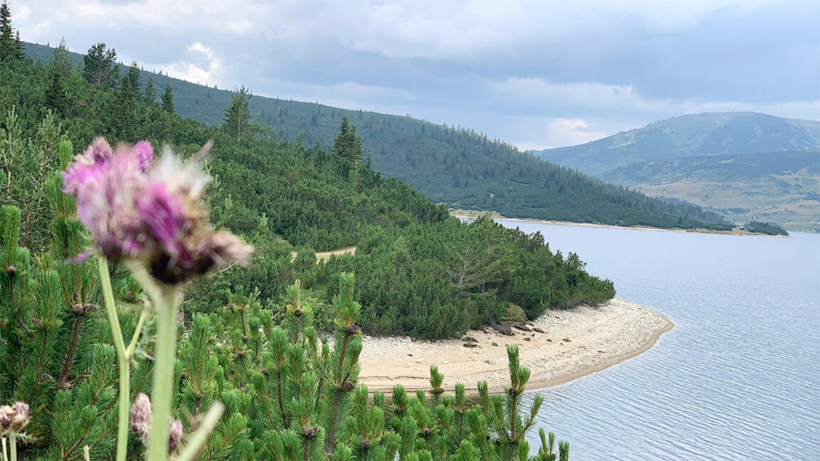 Parashikimi i motit për fundjavën