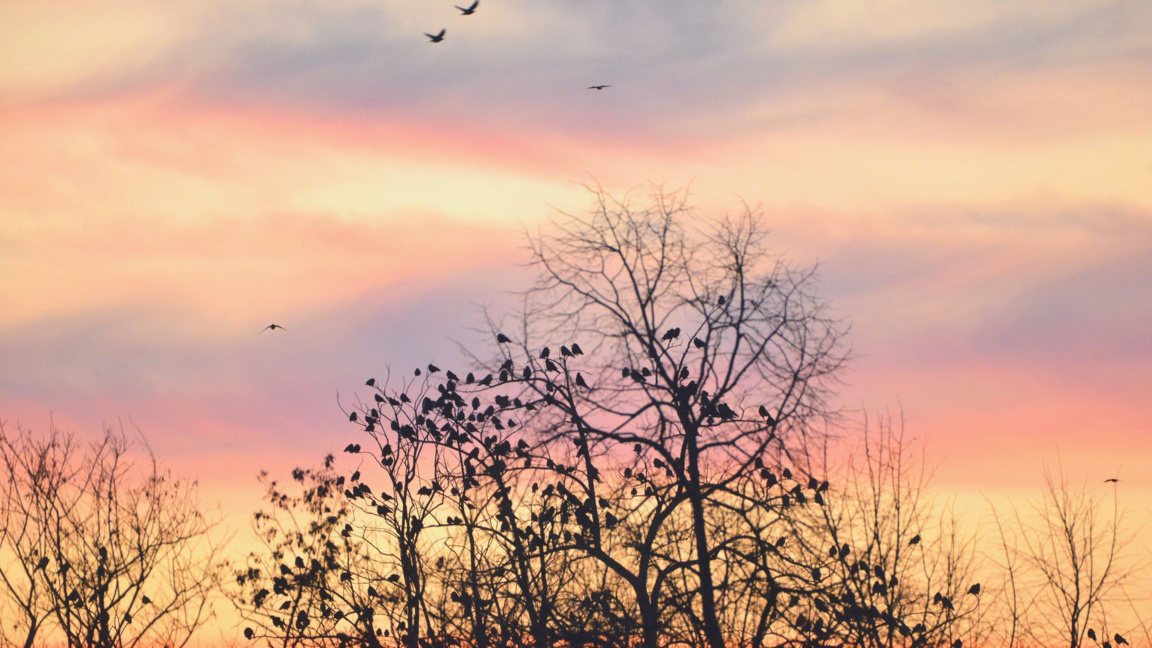 ''Точно днес'' под високо напрежение...