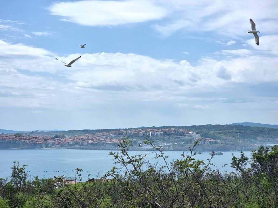 Météo : Soleil de plomb et canicule…