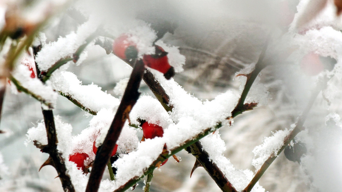 Άνοδος των ημερήσιων θερμοκρασιών στα μέσα της εβδομάδας 