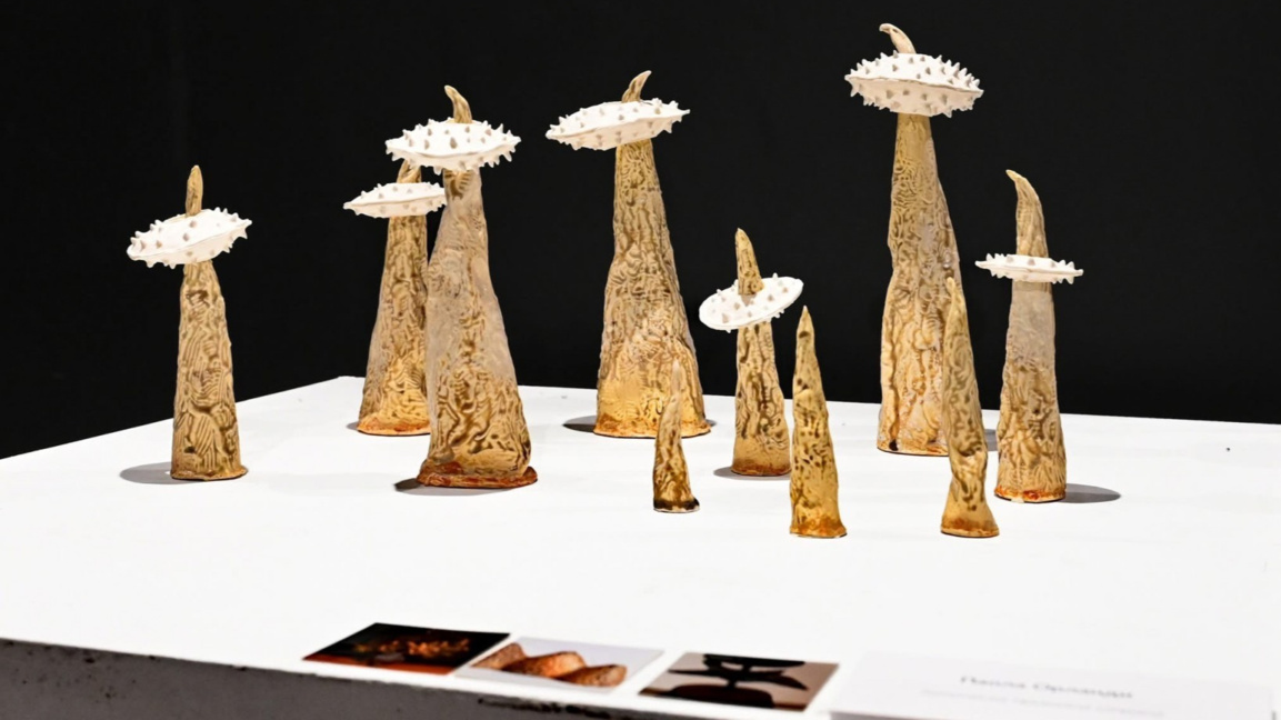 Едно от произведенията представени в изложбата