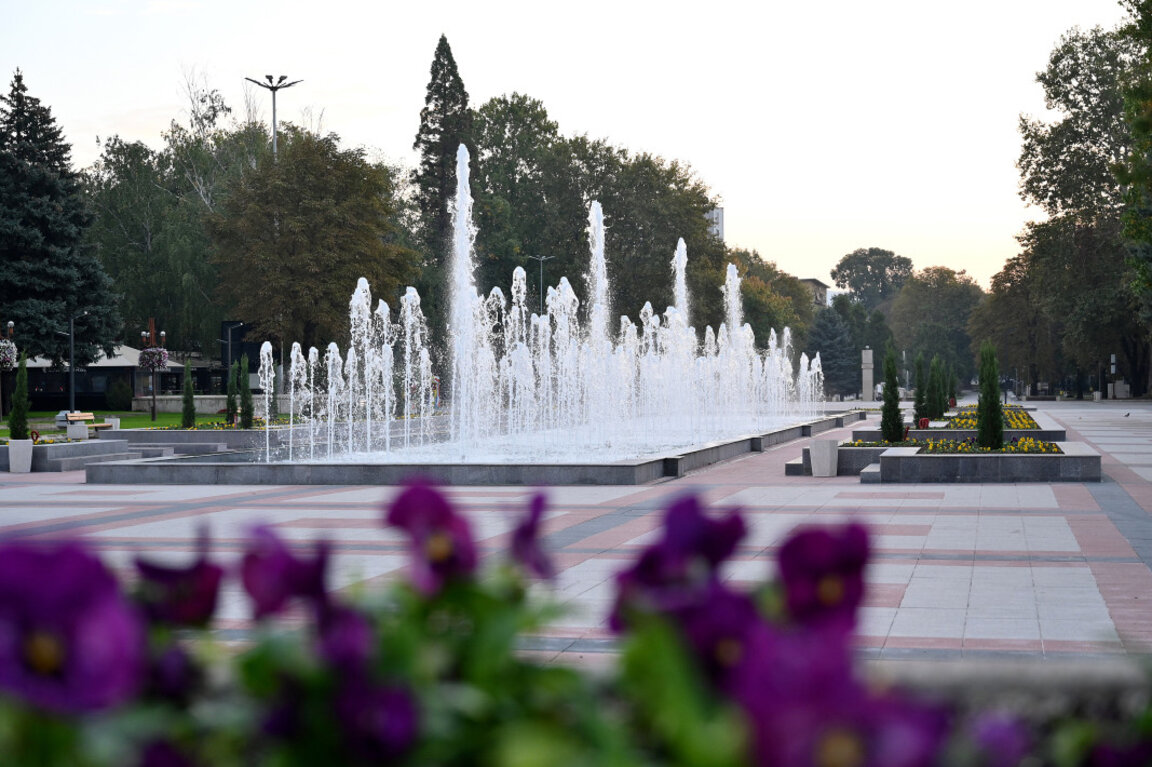 В Монтана пръскат срещу кърлежи