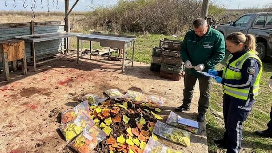 Kırcali ilinde yasa dışı mezbahalarda tonlarca et ele geçirildi