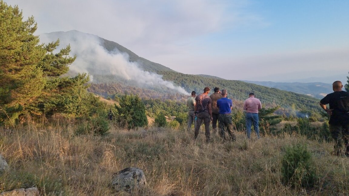 България е на второ място в Европа по горски пожари