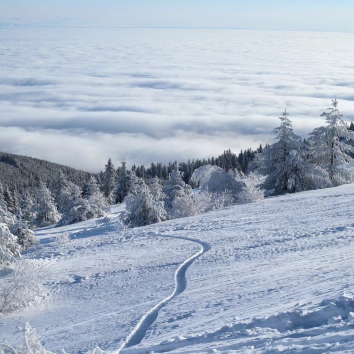 L'ouverture de la saison de ski à Vitocha est ajournée, la neige atteint un mètre