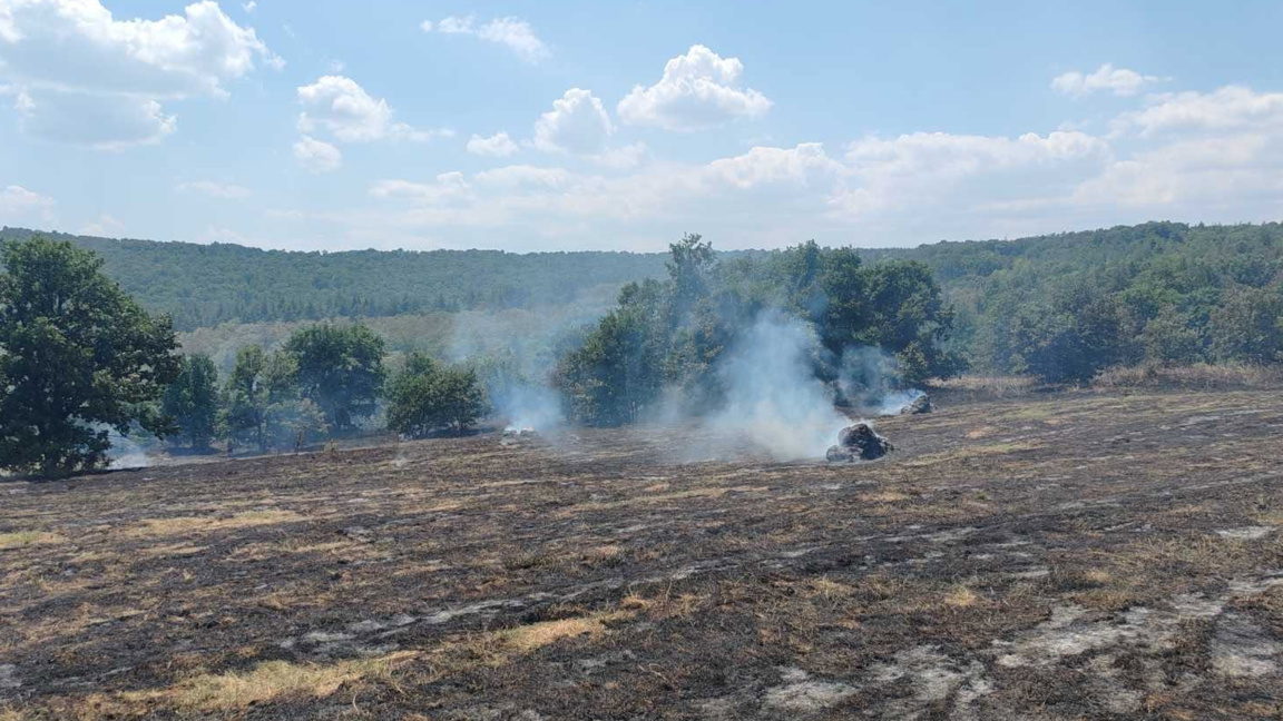 Около 60 декара земя горяха край тополовградското село Българска поляна