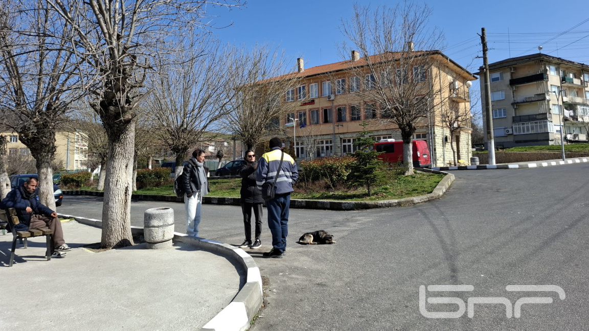 Бездомните кучета – сериозен проблем за жителите на село Мост