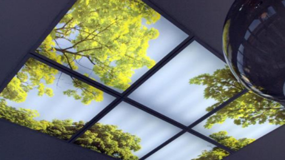 „На отворен прозорец“