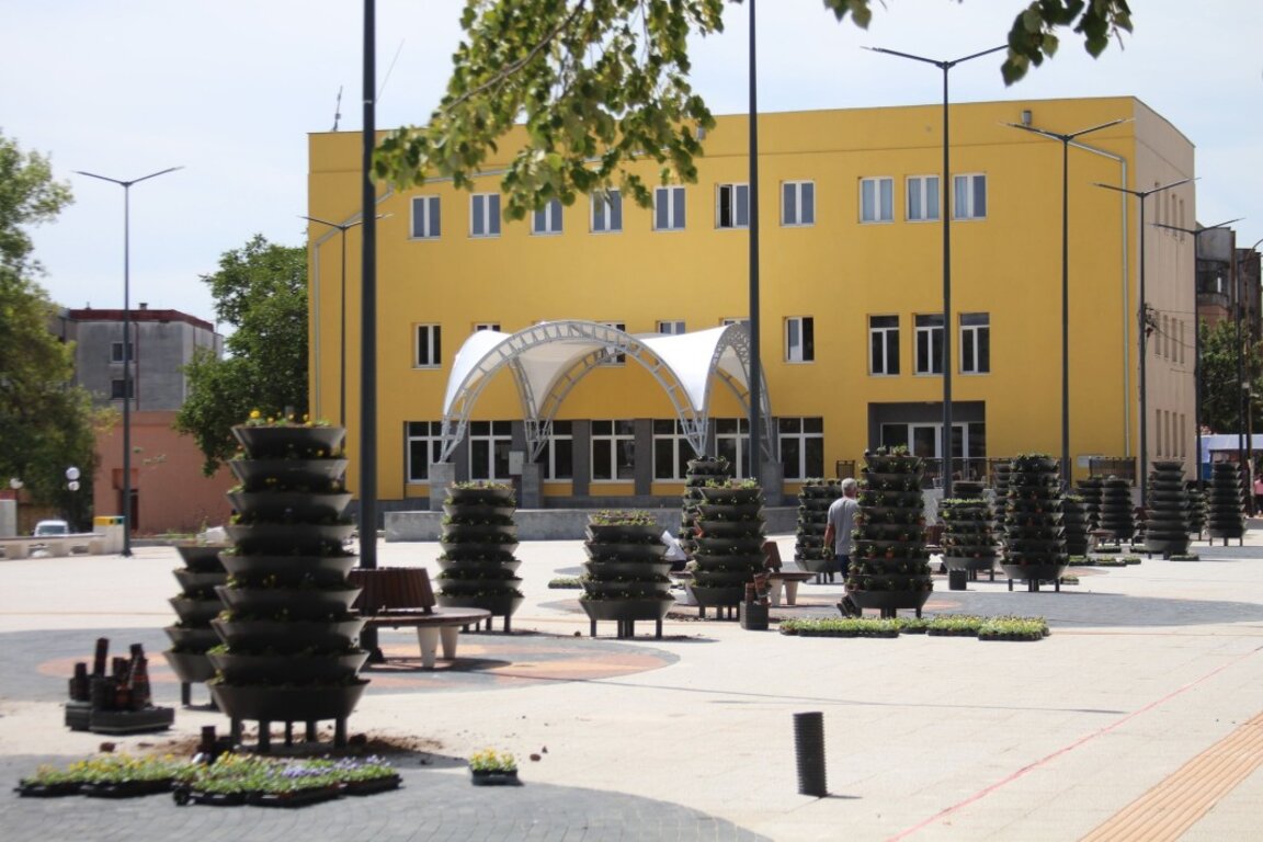 Драгоман е община с добре развити социални услуги, но има и таргет групи, които те не обхващат