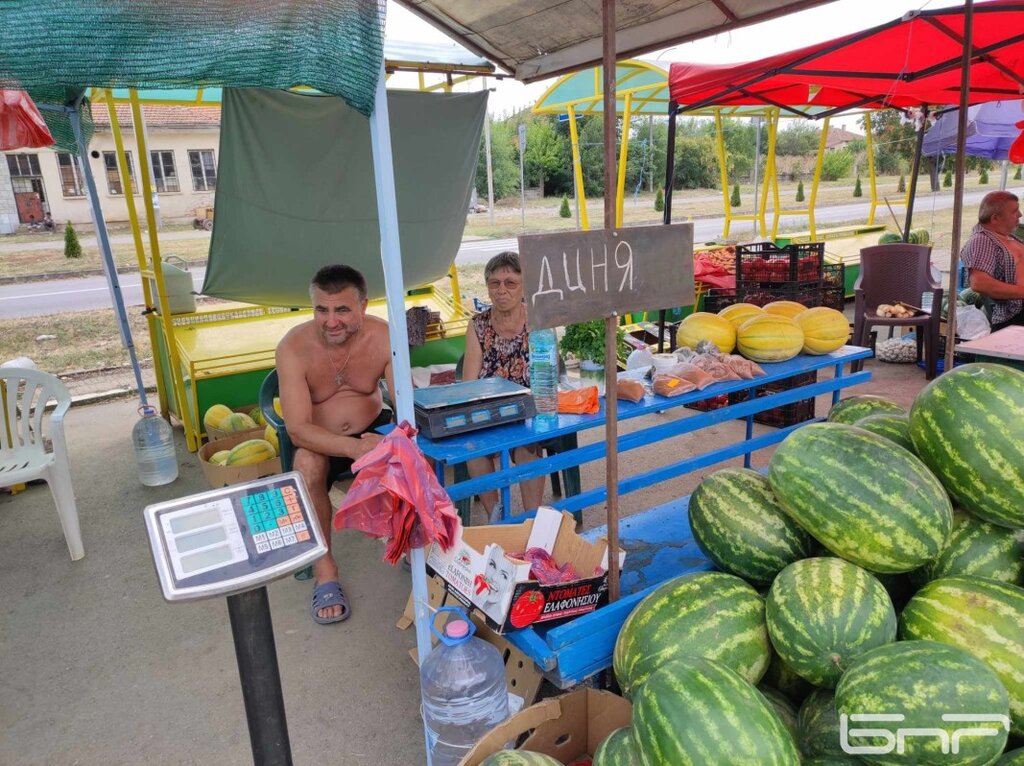 Добра реколта от плодове и зеленчуци в ямболското село Зимница