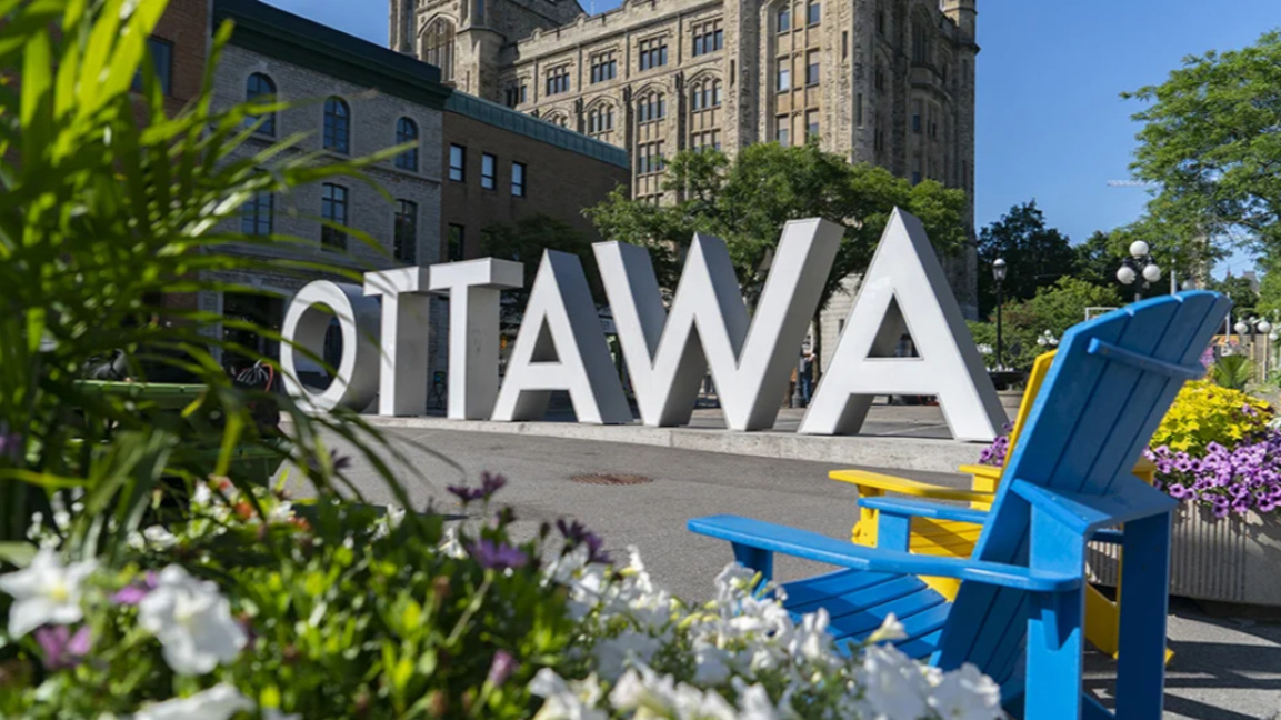 Канят на среща професионалистите от бълг...