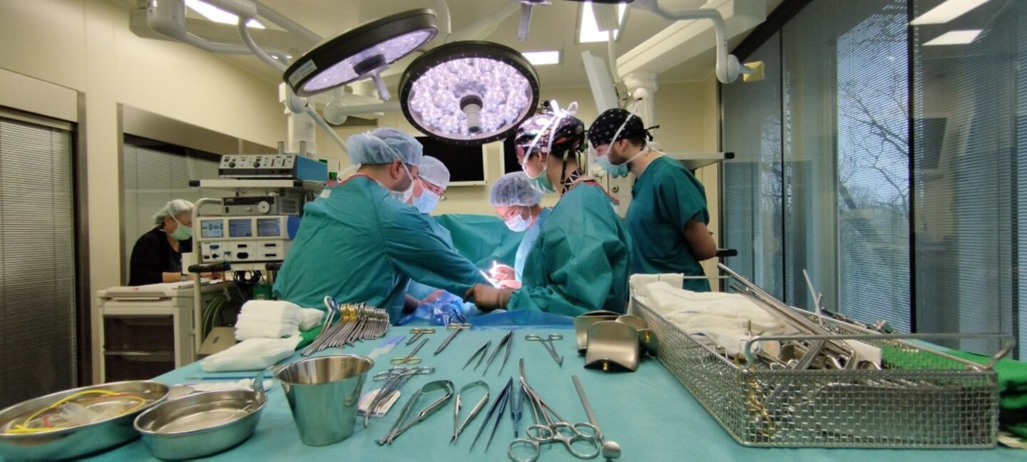 Снимката е илюстративна