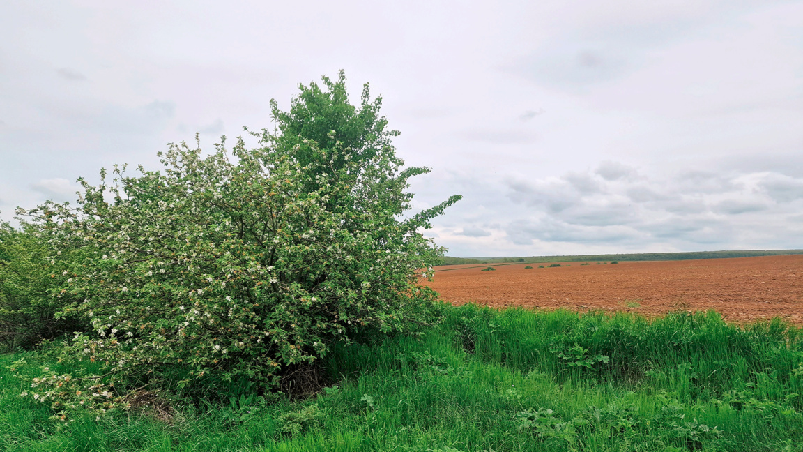 Météo: Soleil le matin, pluie l'après-midi