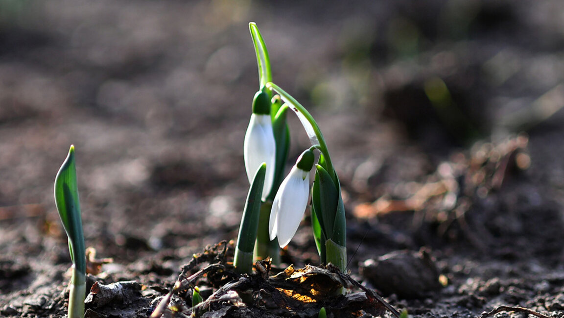 Previsión del tiempo para el 7 de febrero