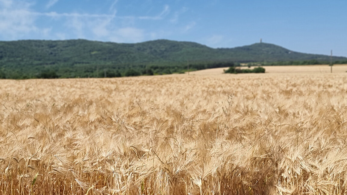Wetteraussichten für Dienstag, den 9. Juli