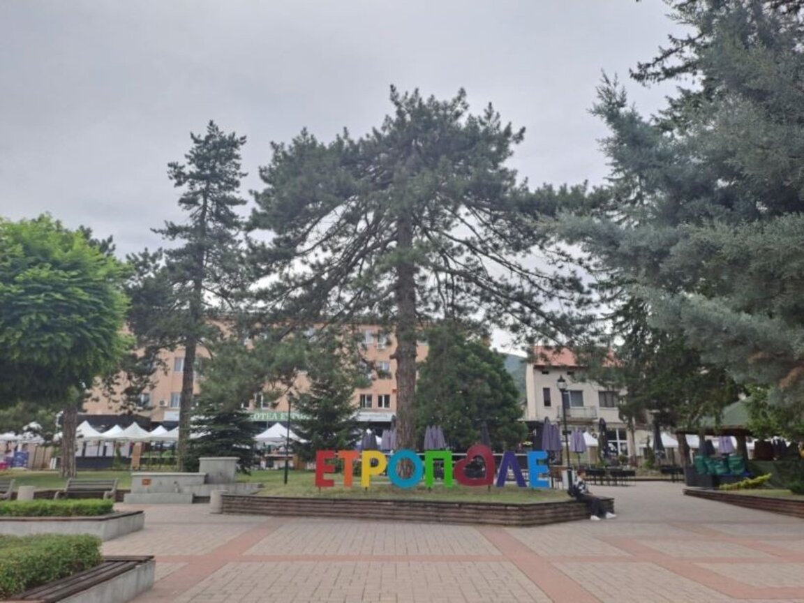 Младежи на фокус
