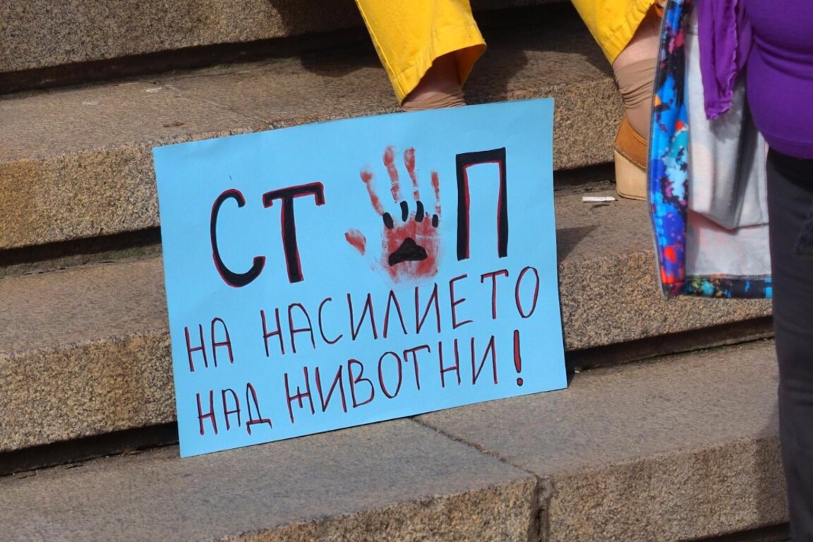 КАЖИ за случая в Перник: Идваше ни да крещим, но трябваше да разследваме