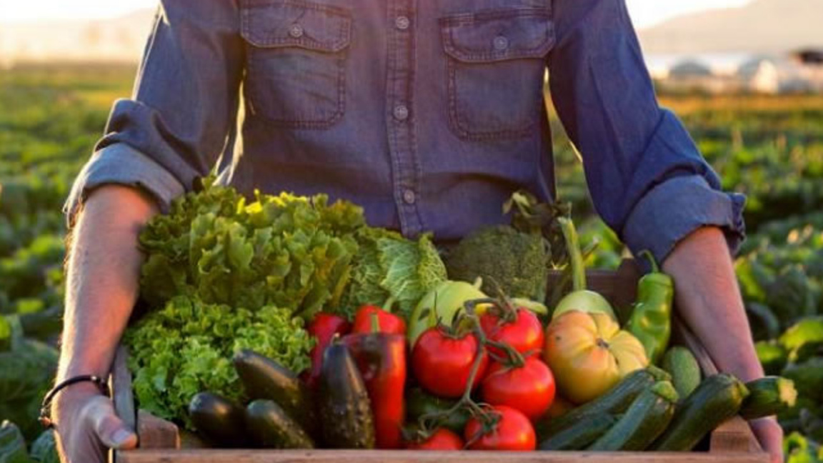 Държавен фонд „Земеделие“ изплати с месец по-рано над 7,5 млн. евро