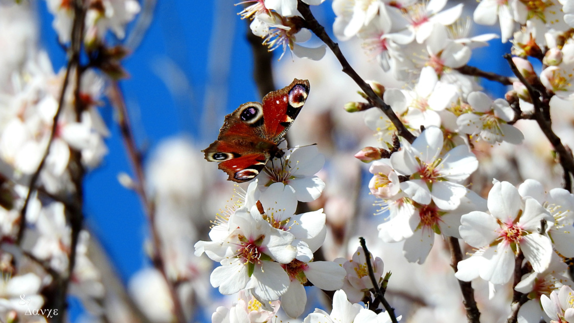 „Сюжети от деня“ с Агнес Манова