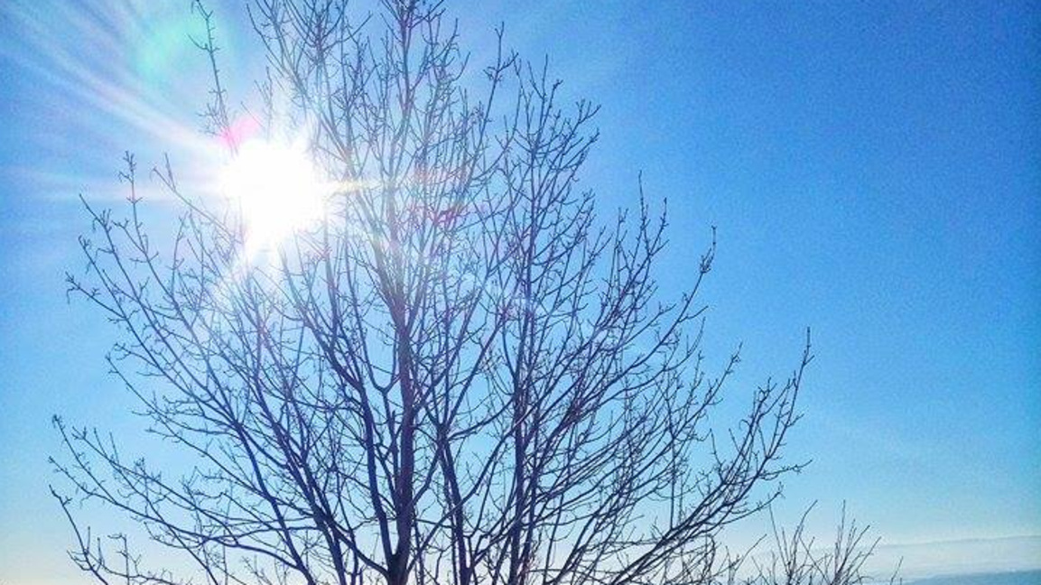 Слънце и максимални температури до 15° в първия ден на март