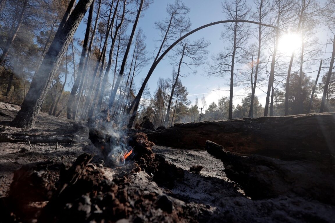 Waldbrand in den Rhodopen ist unter Kontrolle