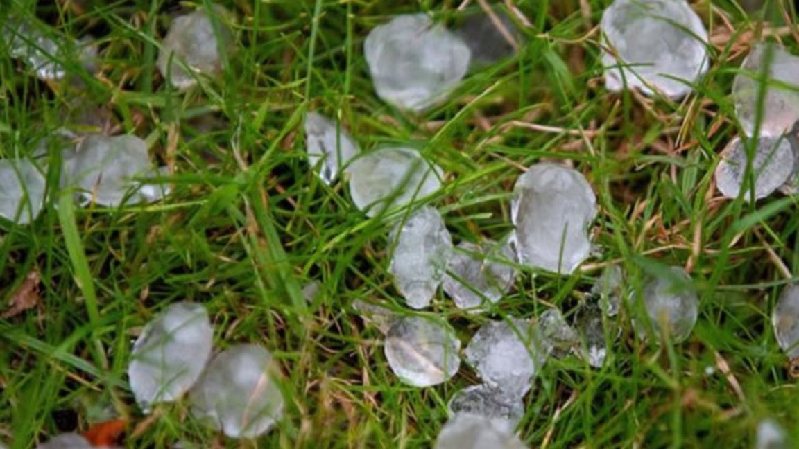 От 2 март стопаните могат да кандидатств...