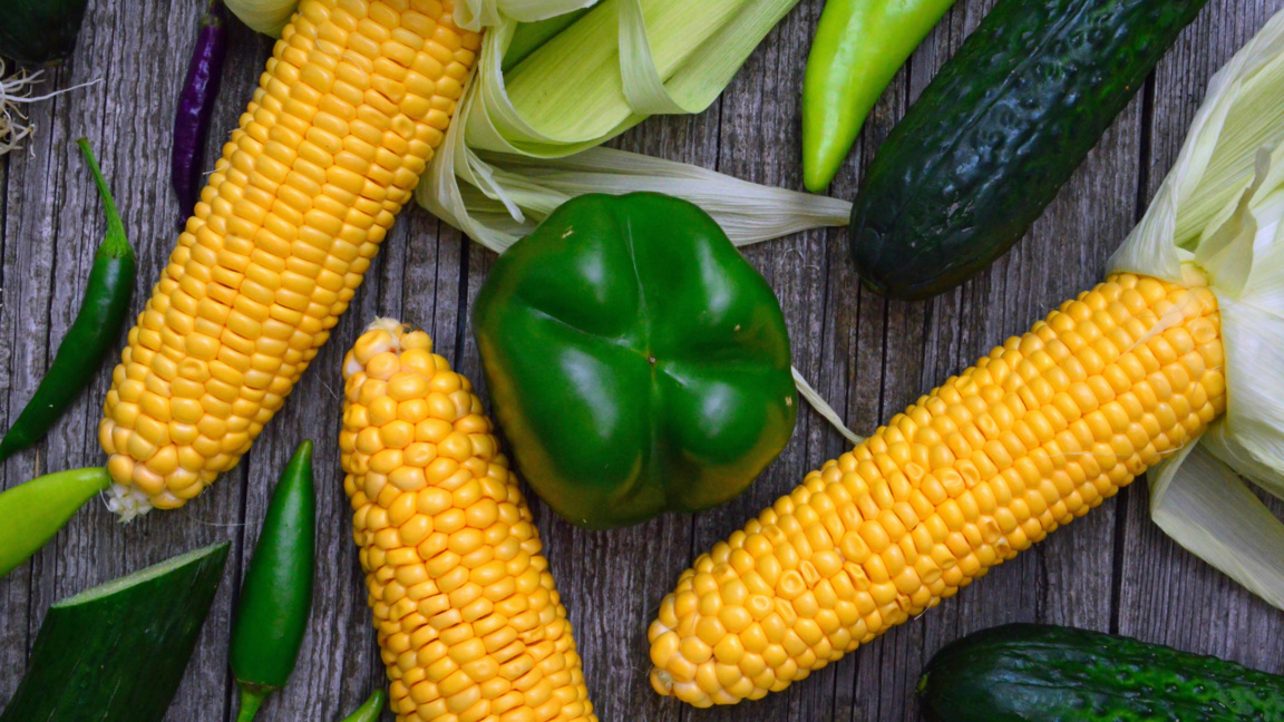 Основателни ли са страховете на фермерите за споразумението на ЕС с Меркосур?