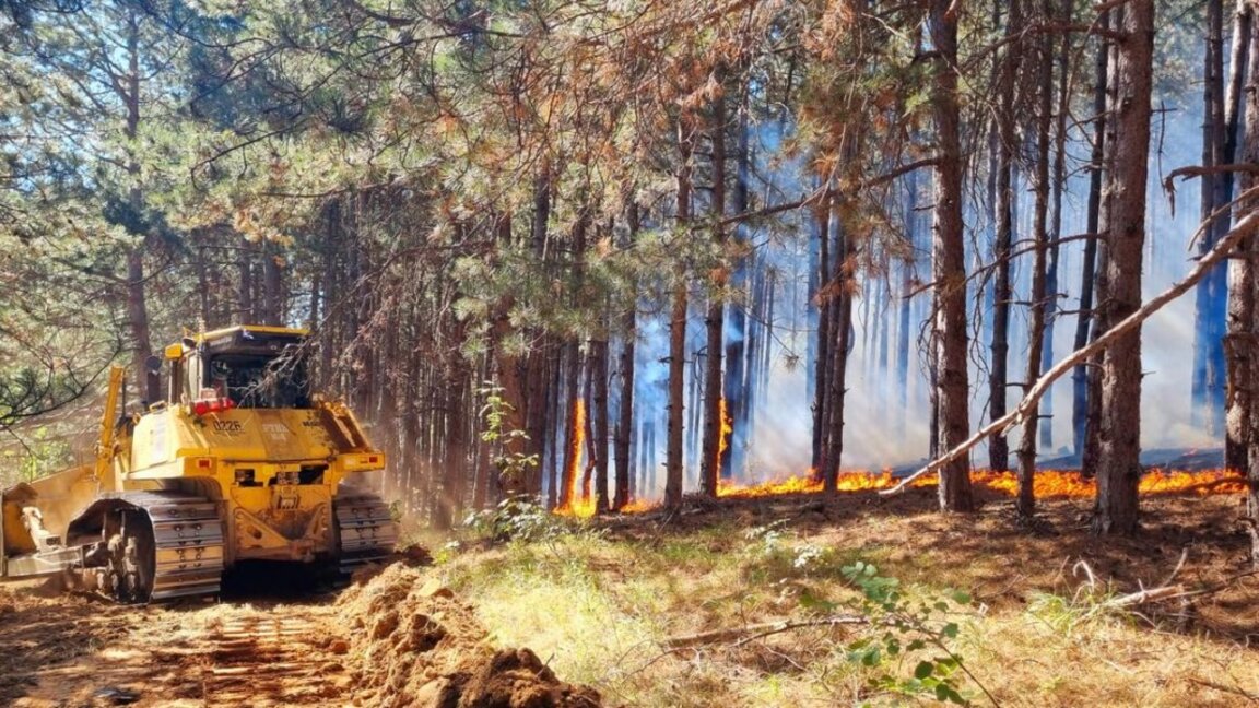 La canicule extrême est à l'origine de nombreux incendies...