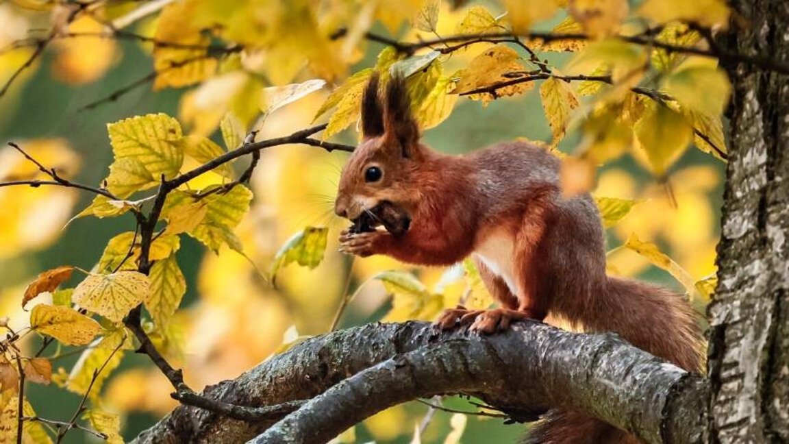 Previsión del tiempo para el 1 de noviembre