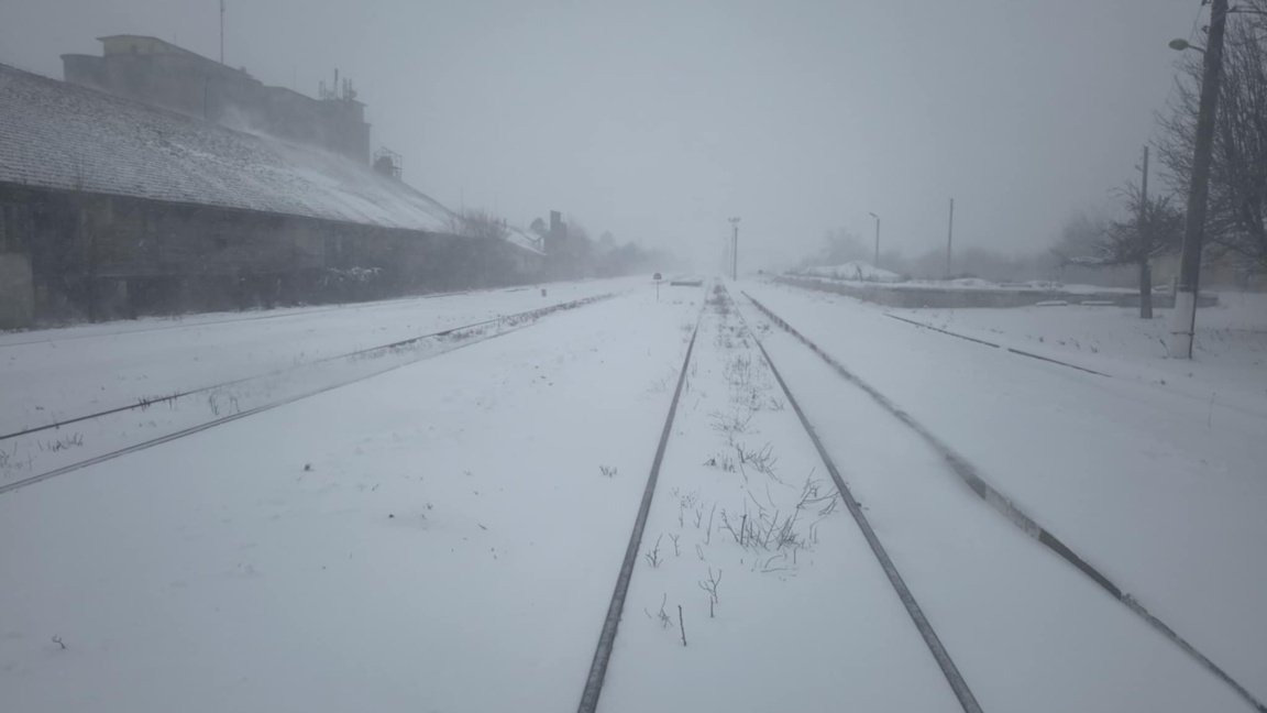 Дистанционно обучение в Силистра