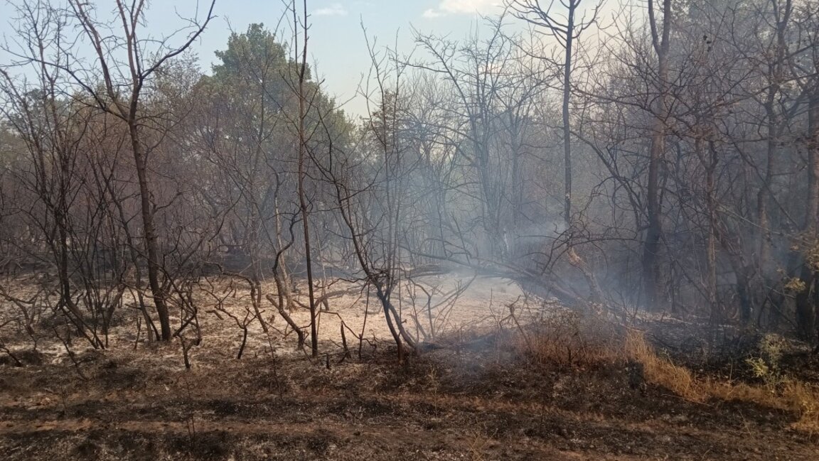 Голям пожар бушува между селата Дъбравка и Граничак, необходими са доброволци