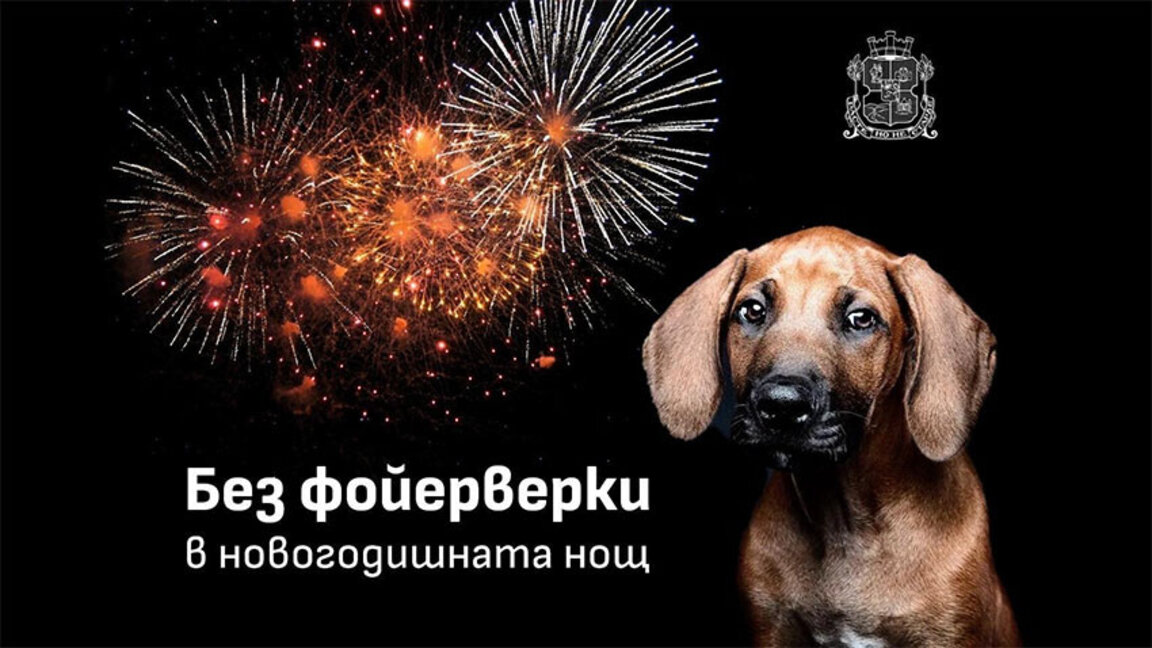Пиротехника на открито в София е позволена само 8 часа по Нова година