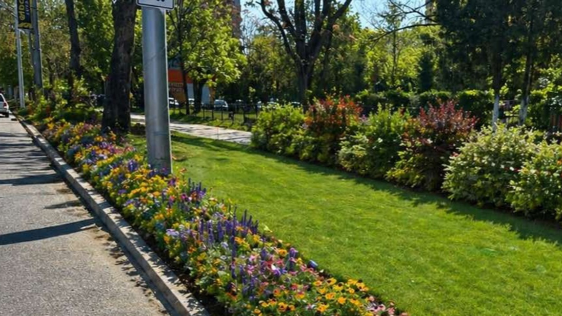 Зелена площ ще замени планиран паркинг по "Цариградско шосе"