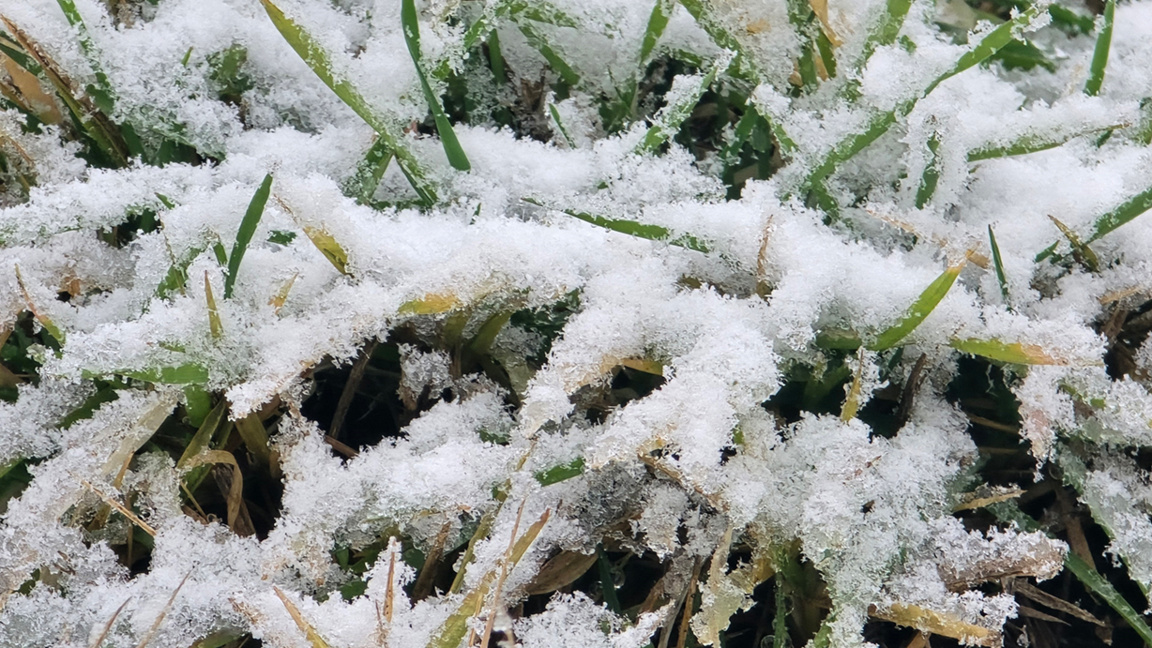 Прогноз погоды на 9 января