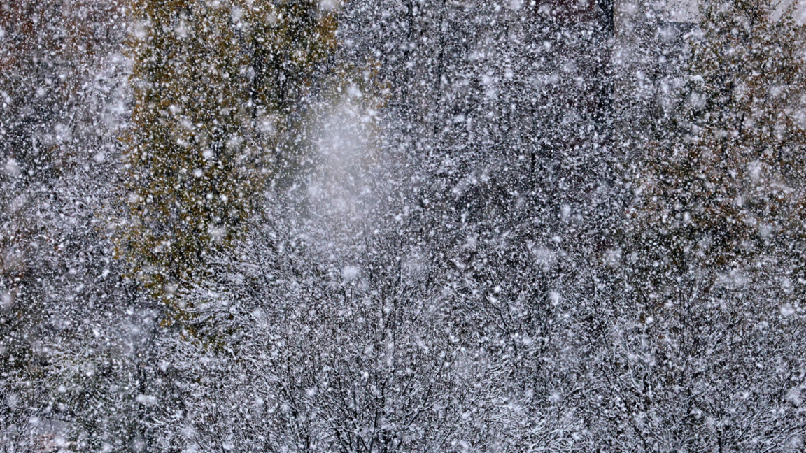 Wetteraussichten für Mittwoch, den 21. Januar