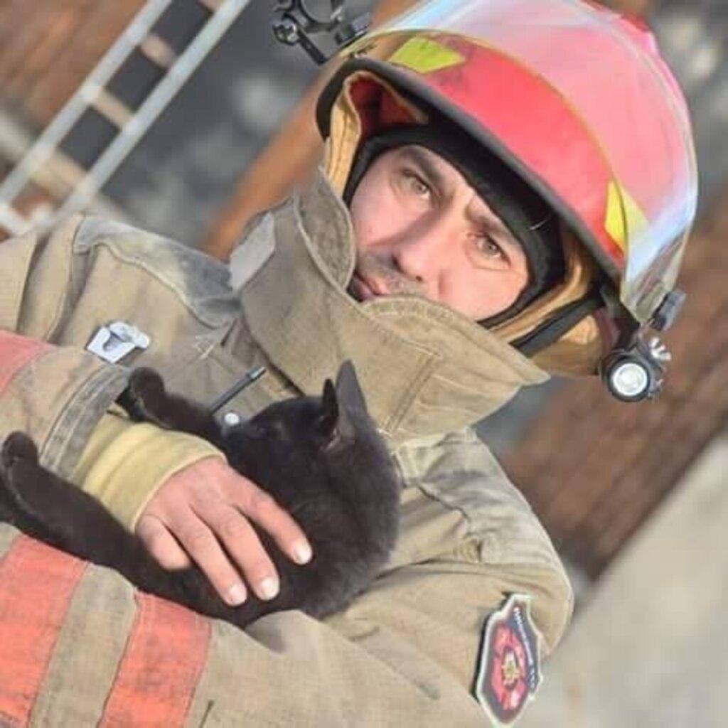 Ако държавата не помага на доброволците, поне да не пречи