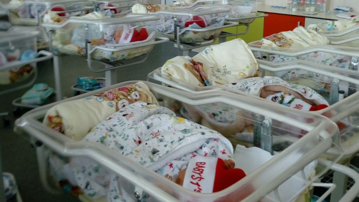 снимката е илюстративна