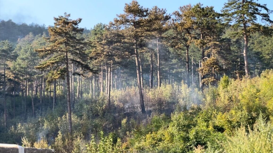 Криминално проявени са заподозрените за пожара в Сливенска планина