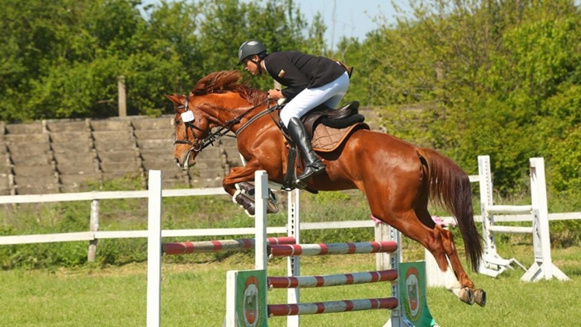 160 години от основаването на конезавода "Кабиюк"