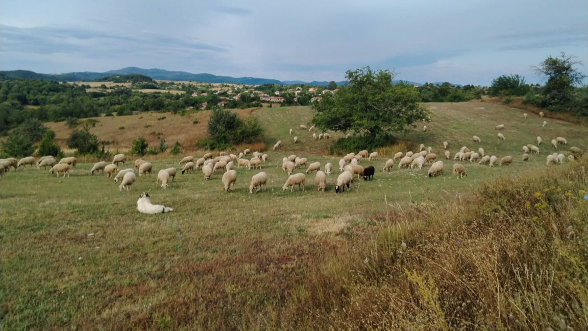 Изглед към село Черничево, община Крумовград.