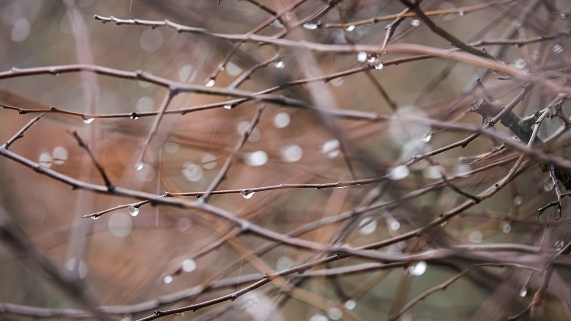 It will be warm for the season, but with precipitation over the entire country