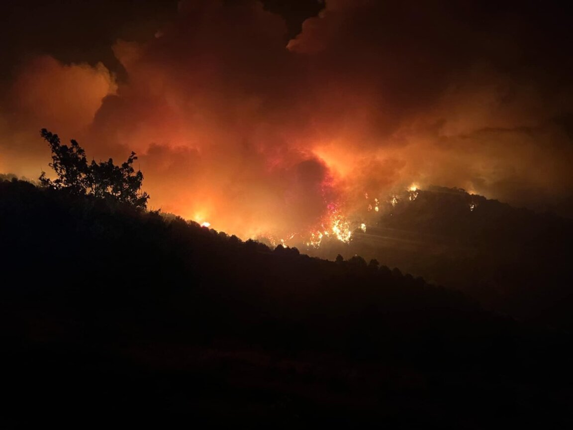 Пожарът в Пирин погълна хиляди декари гори.