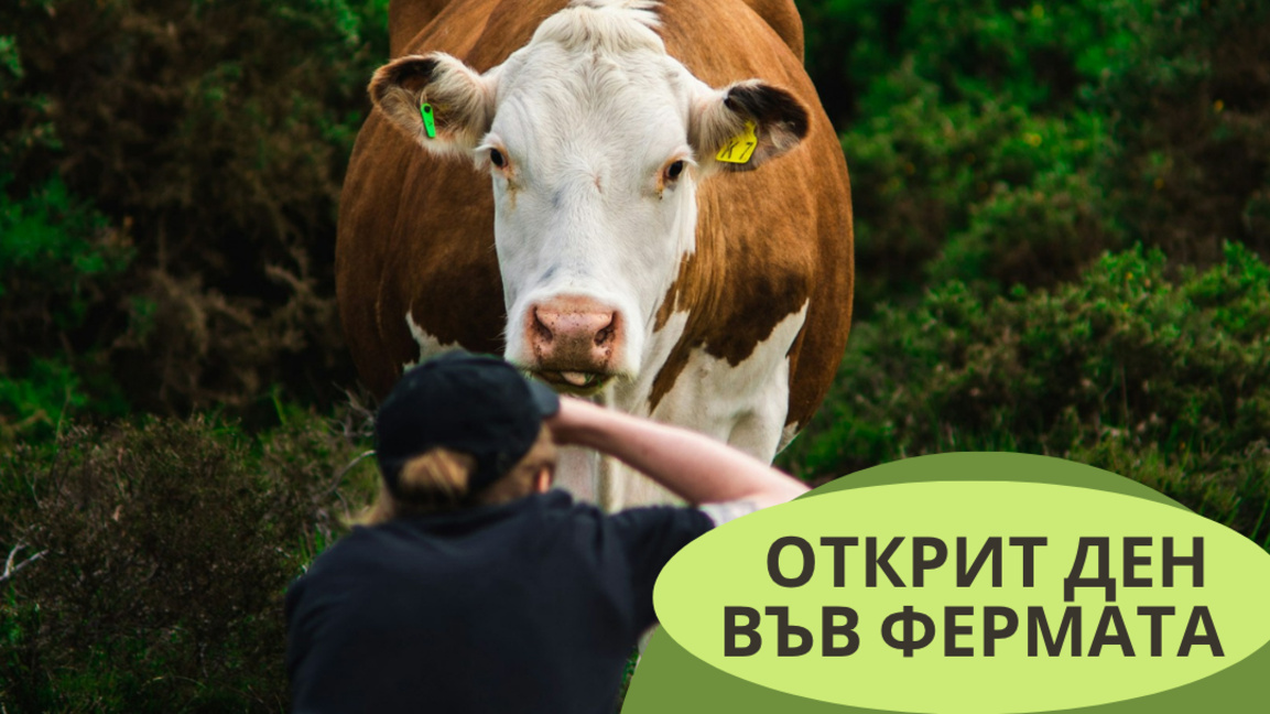 В Странджа започват детски лагери и фермерски училища 