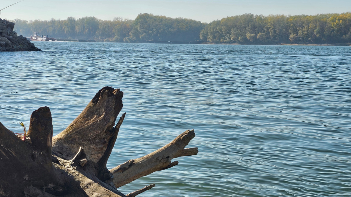 Șapte țări discută problemele ecologice ale fluviului Dunărea