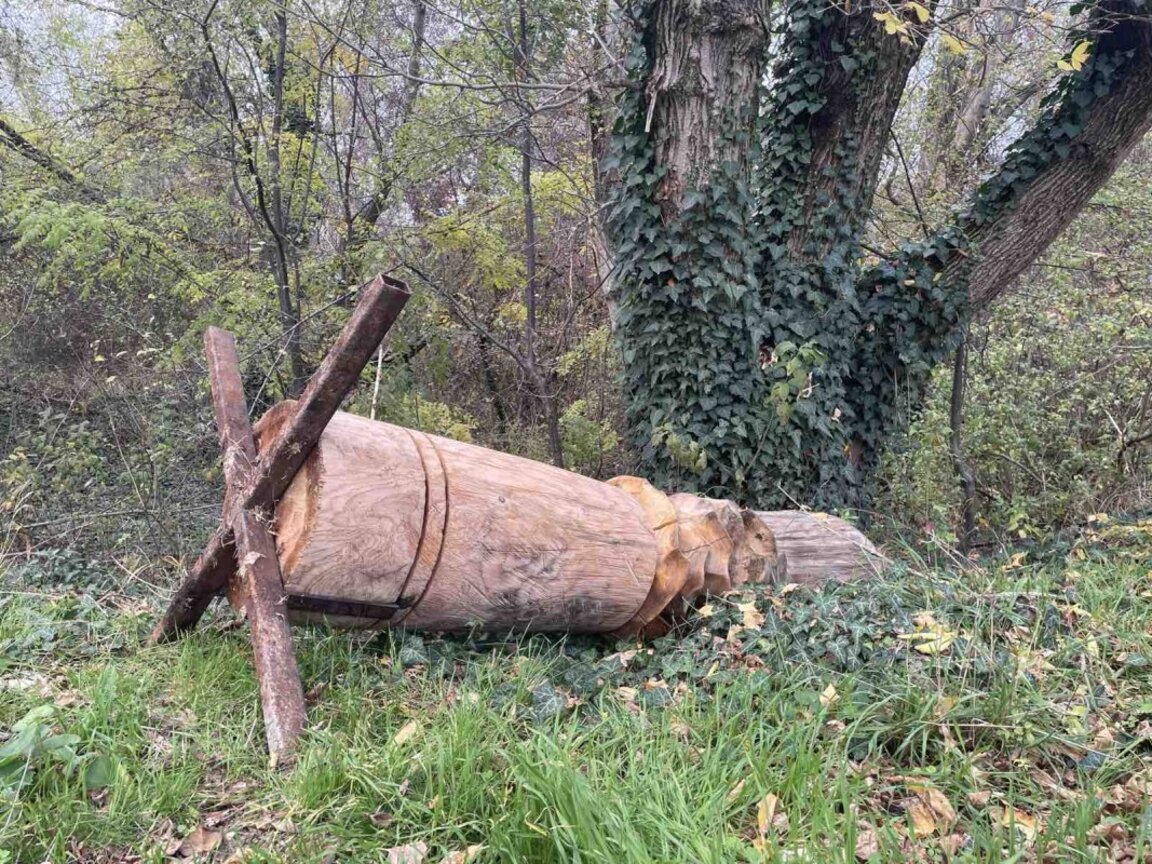 Охрана за изкуството: Събират средства за камери в парк "Бедечка"