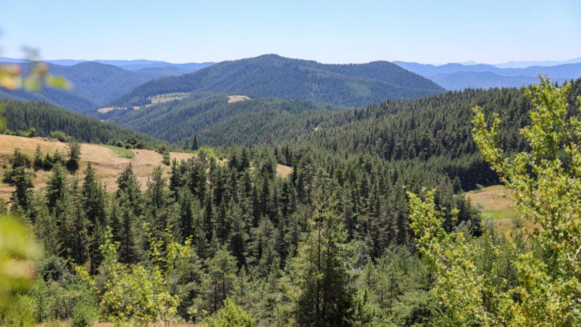 Parashikimi i motit për 4 korrikun 2025