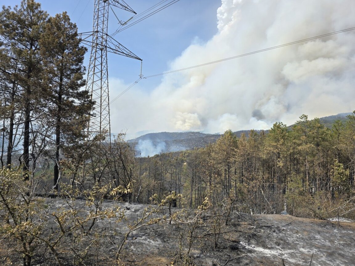 Над 5000 декара горска територия обхвана пожарът между Илинденци и Кресна