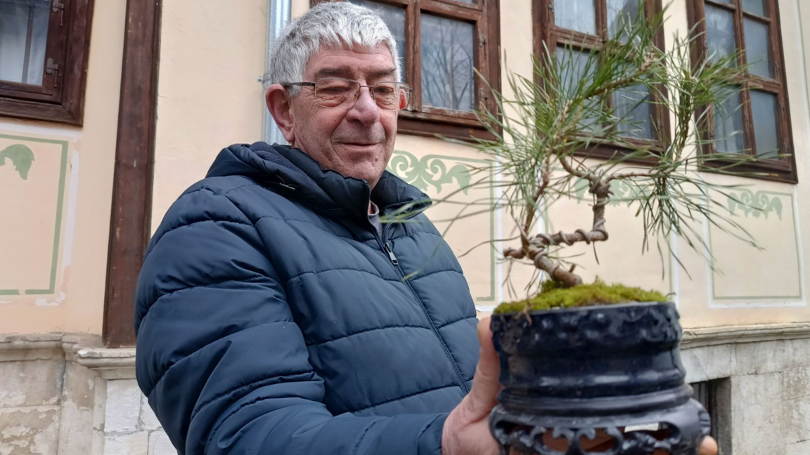 Радко Колев с един от стотиците си бонсаи