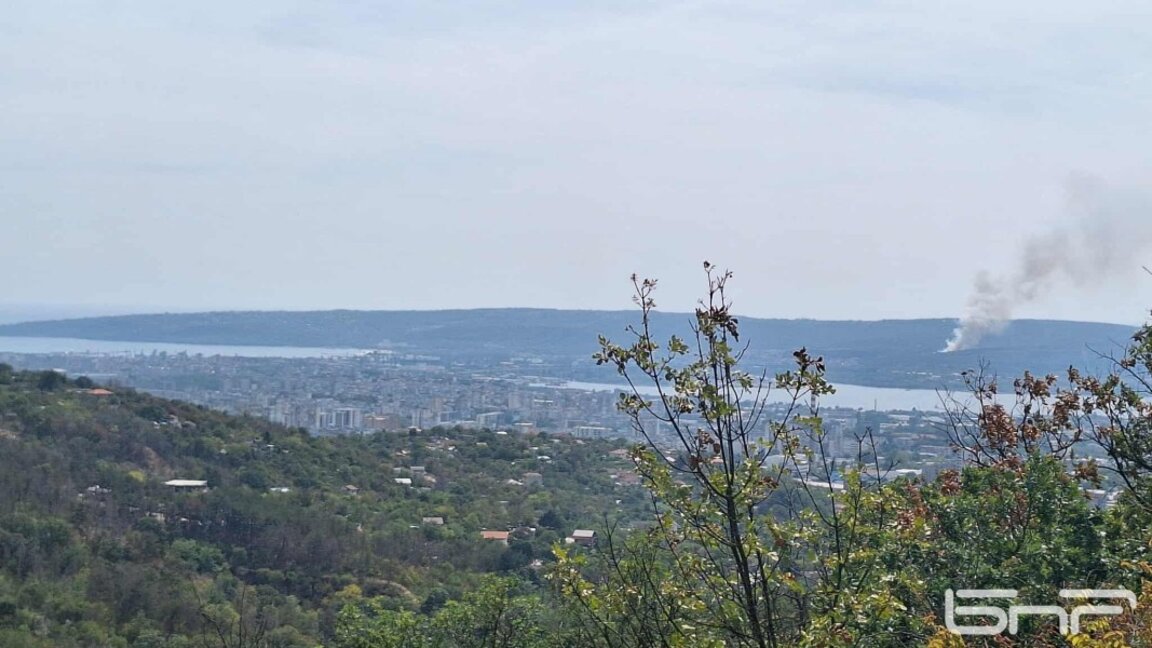 Доброволци се включиха в гасенето на пожара в Джанавара