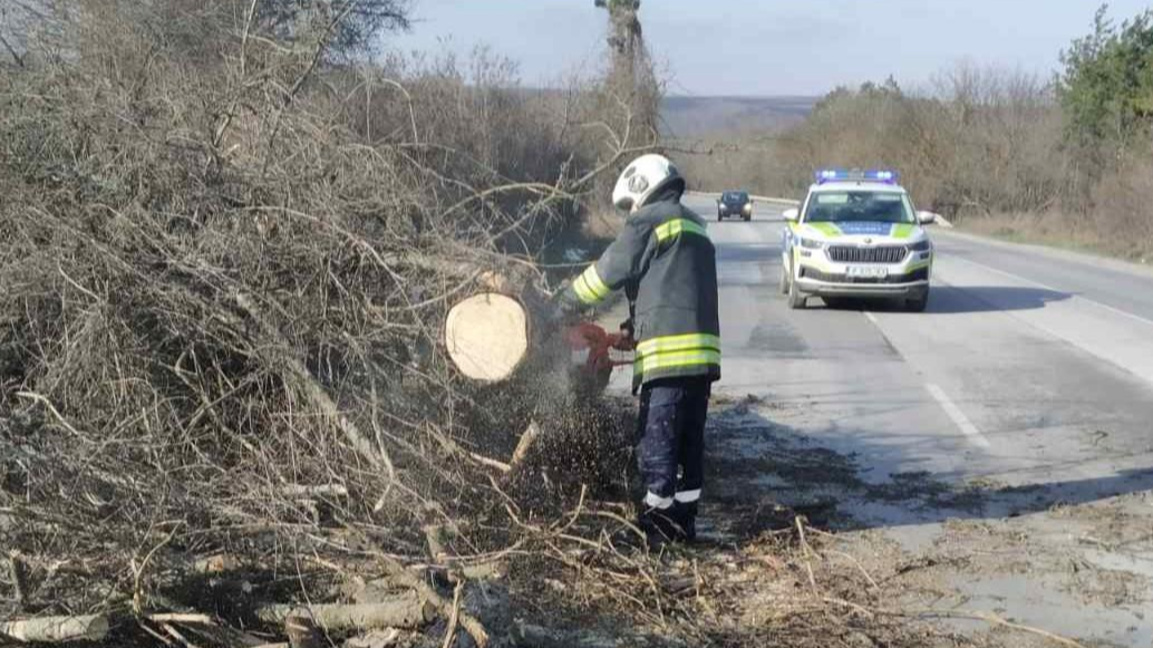 Жена загина, след като дърво падна върху колата ѝ